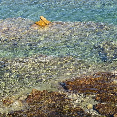 Dei Sargassi * Olbia